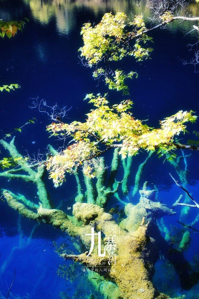 33岁普通人零基础学电工可以吗？？？游戏画面